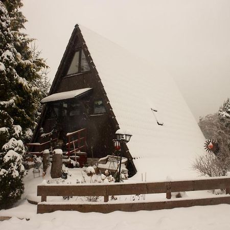 Fichtelgebirgshaus Villa Fichtelberg Eksteriør billede