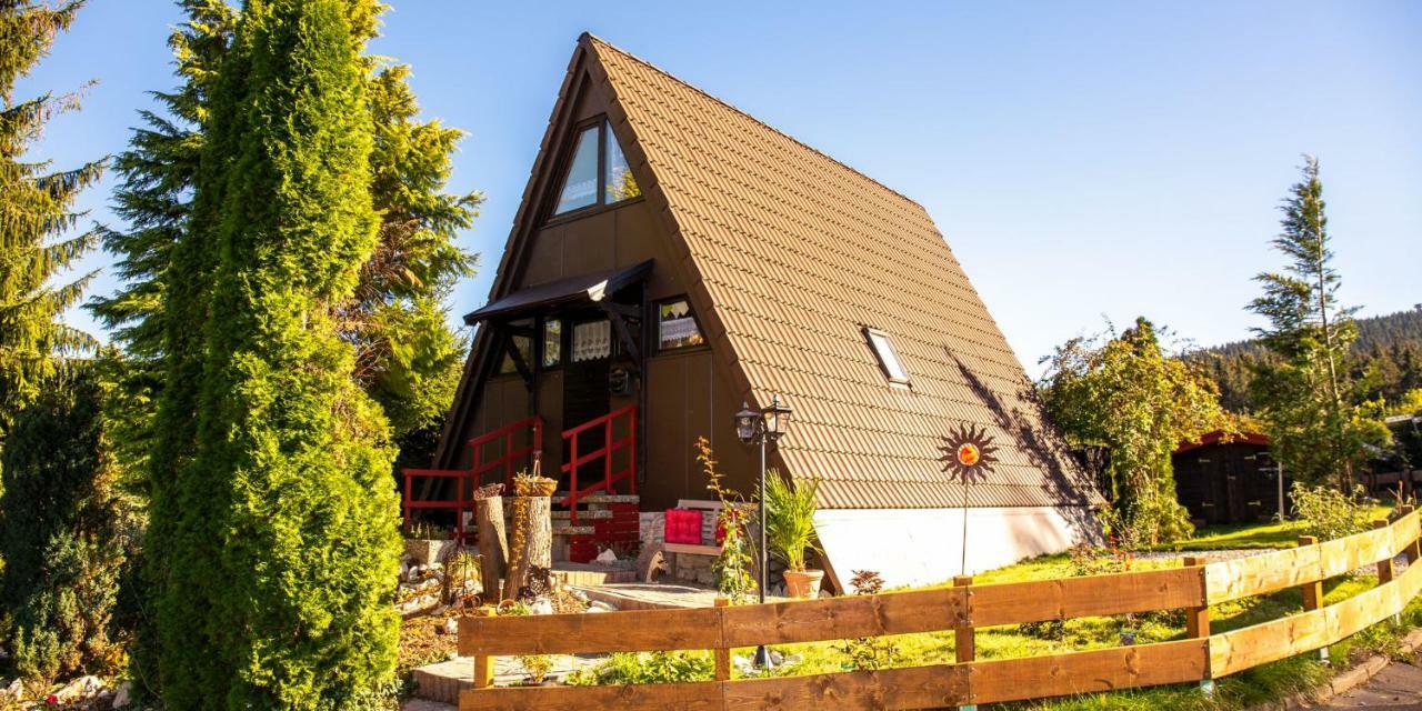 Fichtelgebirgshaus Villa Fichtelberg Eksteriør billede